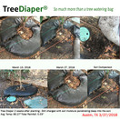 Smart Tree Watering Bag - AUTO REFILLS WITH RAIN and Slow Releases As Plant Needs - New Water Absorption Slow Release Technology Prevents Over and Under Watering - Large Tree Diaper 36" Ring For Trees
