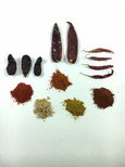 Grow and Make: Deluxe DIY Gourmet Hot Sauce Kit, 6 Recipes Included