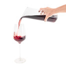 Wine Squirrel Wine Preserving Decanter - Air-Tight Seal that Keeps Wine Fresh