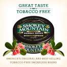 Smokey Mountain Herbal Snuff - Wintergreen (1-Can) Nicotine-Free and Tobacco-Free - Herbal Snuff - Great Tasting & Refreshing Chewing Tobacco Alternative