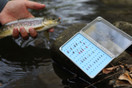 Tacky Fishing Tacky Fishing Tacky Big Bug Box