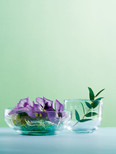 La Rochere Dragonfly Glass Tumbler 9.5 oz, Set of 4