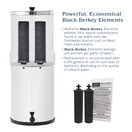 Berkey Berkey BB9-2 Replacement Black Purification Elements, Set of 2