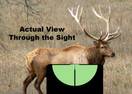 SeeAll See All  Open Sight Edge Glow Lit Reticle Sight Fits Rifles and Pistols 100% Made in USA No Batteries!