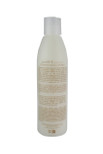 Belegenza Extraordinary Hair Care GrowOut Shampoo & Strengthener 8 oz.