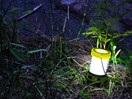 Hybrid Light Hybridlight Solar Rechargeable Expandable Lantern, Flashlight, Cell Phone Charger. 75 Lumen. Built in Solar Panel. USB Cable Included for Quick Charge