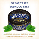 Smokey Mountain Arctic Mint Snuff, 5 Cans, no Tobacco and no Nicotine, Refreshing Herbal and Smokeless Chew Alternative
