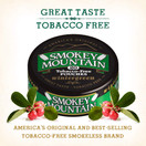 Smokey Mountain Pouches - Wintergreen - 10-Can Box - Nicotine-Free and Tobacco-Free Herbal Snuff - Great Tasting & Refreshing Chewing Tobacco Alternative