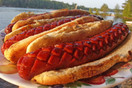 SLOTDOG