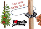 Tomato Ring - Tomato Cage - Plant support/Tomato support - 6 Pack
