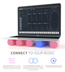 Expressive E Touch SE (Software Edition) USB Control Surface for Software Sound Only. Made for Software Synths, Instruments, Keyboards, and Music Production (Poly-Carbon Touchplate)