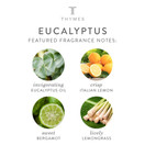 Thymes - Eucalyptus Body Lotion - With Moisturizing Shea Butter and Rejuvenating Eucalyptus Oil & Aloe Vera - 9.25 oz