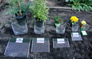 Diggers Bulk Pack - 24 Qty Mini RootGuard Heavy Duty Gopher Wire Baskets