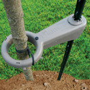Tree Sprout Support - Tree Mate O Support System
