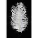 Kayso 100pcs New Style Real Natural 12-14 Inch(30~35cm) Ostrich Feathers Great Decorations (White)