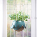 Bluebird Hanging Planter Pot - Ceramic - 7" Diameter
