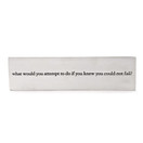 What Would You Attempt To Do Paperweight