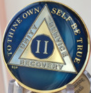 2 Year Midnight Blue AA Alcoholics Anonymous Medallion Chip Tri Plate Gold & Nickel Plated Serenity Prayer