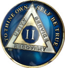 2 Year Midnight Blue AA Alcoholics Anonymous Medallion Chip Tri Plate Gold & Nickel Plated Serenity Prayer