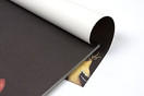 Backyard Party Paper Placemat Set/30 American Made