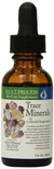 Morter Health system Trace Minerals - 1 fl oz