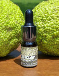 Maclura Pomifera Essential Gold Oil, Antibacterial and Anti-fungal Natural Oil Drops, 100% Pure Cold Pressed Osage Orange Seed Oil, Sample Size, 5 ml