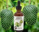 Virgin Soursop Graviola Guanabana Oil (organic, undiluted, unrefined) 2oz / 60 ml