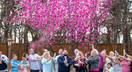 Baby Gender Reveal Confetti Launcher Cannon 4-Pack - Biodegradable Confetti (2 Pink and 2 Blue)