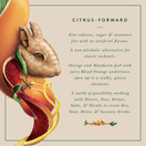 SEEDLIP Grove 42 Non-Alcoholic Spirit, 23.7 fl oz