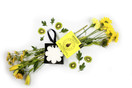 Spongelle Boxed Flower Body Buffer - Shower/Bath Sponge - Coconut Verbena