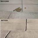 Terminator-HSD Eco-Friendly Bio-Remediates and Removes Oil & Grease Stains on Concrete and Asphalt Driveways, Garages, Pavers, Patios, Parking Lots, Streets and Warehouses (2 LB)