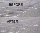 Terminator-HSD Eco-Friendly Bio-Remediates and Removes Oil & Grease Stains on Concrete and Asphalt Driveways, Garages, Pavers, Patios, Parking Lots, Streets and Warehouses(10 Oz)