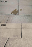 Terminator-HSD Eco-Friendly Bio-Remediates and Removes Oil & Grease Stains on Concrete and Asphalt Driveways, Garages, Pavers, Patios, Parking Lots, Streets and Warehouses(10 Oz)