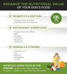 PetHonesty Probiotic Powder for Dogs, Advanced Dog Probiotics, Relieves Dog Diarrhea with Digestive Enzymes, Improves Digestion, Enhances Immune System with Antioxidants, Improves Overall Health