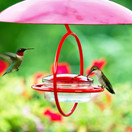 Mosaic Birds M047-301-R Hummble Bold Hummingbird Feeder Red