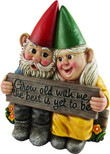 DWK - Growing Old Together - Garden Gnome Couple in Love Collectible Figurine Best Friends Lovers Romantic Statue Indoor Outdoor Garden Patio Home Décor, 5.75-inch