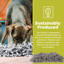 PAW5: Wooly Snuffle Mat - Feeding Mat for Dogs (12" x 18") -  Encourages Natural Foraging Skills - Easy to Fill - Fun to Use Design - Durable and Machine Washable - Perfect for Any Breed