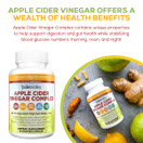 Paleovalley: Apple Cider Vinegar Complex - Digestive Support - 90 Capsules - Organic Ingredients - Help Stabilize Blood Sugar - Manage Appetite - Improve Protein Absorption