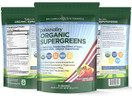 Paleovalley: Organic Supergreens - Raw Green Superfood Powder - 30 Servings - Contains 23 Organic Superfoods - No Cereal Grasses, Soy, Grain, Dairy, Gluten or GMO - for Good Gut Health and Immunity