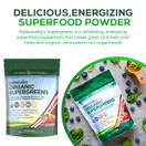 Paleovalley: Organic Supergreens - Raw Green Superfood Powder - 30 Servings - Contains 23 Organic Superfoods - No Cereal Grasses, Soy, Grain, Dairy, Gluten or GMO - for Good Gut Health and Immunity