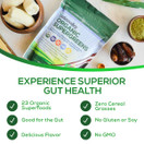 Paleovalley: Organic Supergreens -  Raw Green Superfood Powder - 30 Servings - Contains 23 Organic Superfoods - No Cereal Grasses, Soy, Grain, Dairy, Gluten or GMO - for Good Gut Health and Immunity