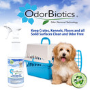 OdorBiotics Pet Stain & Odor Remover 12 Fl Oz