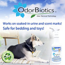 OdorBiotics Pet Stain & Odor Remover 12 Fl Oz