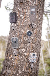 Spy High Complete Mounting System - Professional All Weather 16 Foot Trail Camera Mount with Setup Kit - Optimum Security & Surveillance for Indoor/Outdoor Uses 1/4 X 20 Threads (16 Foot Kit, Brown)
