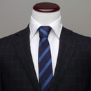 Enterprise  Flight  Blue  Stripe Men's Tie