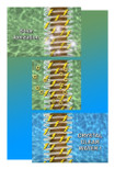 Floatron Solar Powered Pool Cleaner, Natural Mineral Copper Ionizer - Naturally Mineralized Pool Water