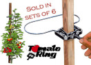 Tomato Ring - Tomato Cage - Plant support/Tomato support (6 Pack)