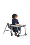 Graco Table2Table Premier Fold 7 in 1 Convertible High Chair | Converts to Dining Booster Seat, Kids Table and More, Landry