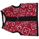 Kitty Holster Cat Harness, Fits Medium to Large, Red Bandana