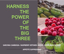 Taiy Nutrition The Big 3 Extra Strength Appetite Suppressant Garcinia Cambogia Raspberry Ketones Green Coffee Bean Extract, Natural Weight Loss, Super Metabolism Booster, 60 Capsules